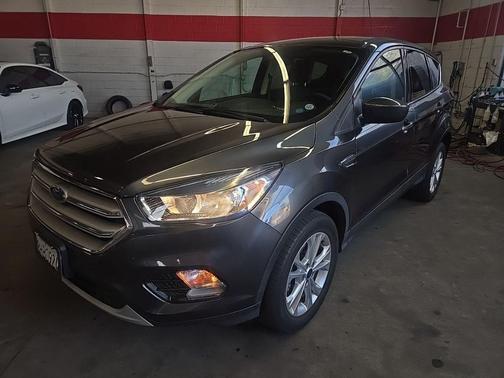 Magnetic 2019 Ford Escape SE