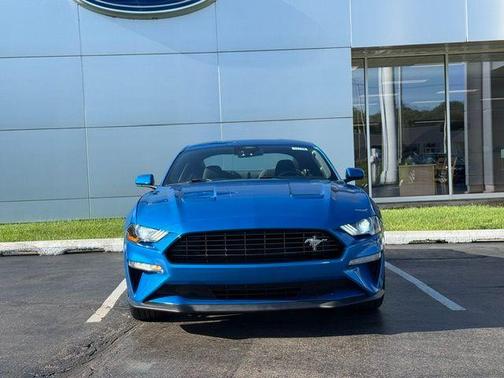 Velocity Blue Metallic 2021 Ford Mustang EcoBoost