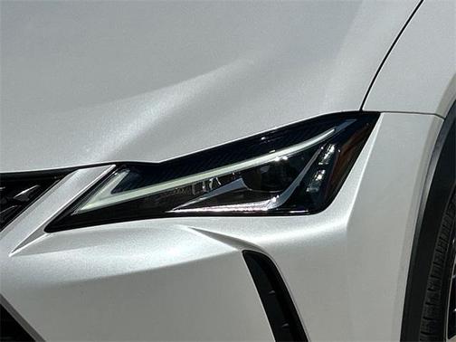 2019 Lexus UX 200 F Sport