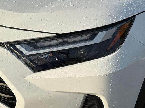 Ice 2024 Toyota RAV4 LE
