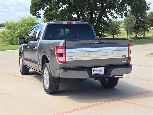 2023 Ford F-150 Platinum