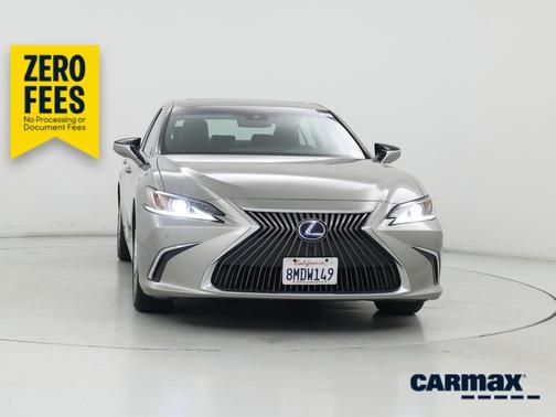 Gray 2019 Lexus ES 300h Luxury