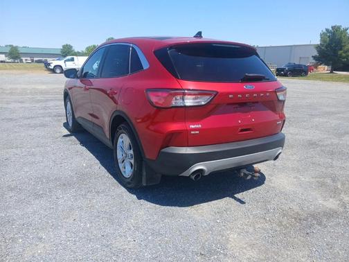Rapid Red Metallic Tinted Clearcoat 2020 Ford Escape SE