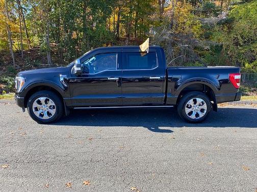 2022 Ford F-150 PLATINUM