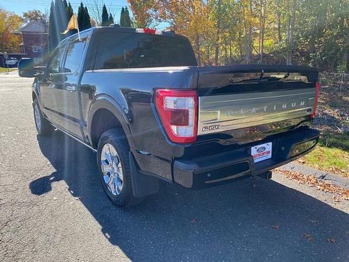 2022 Ford F-150 PLATINUM