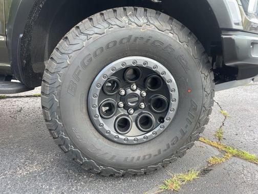 Shelter Green 2025 Ford F-150 Raptor