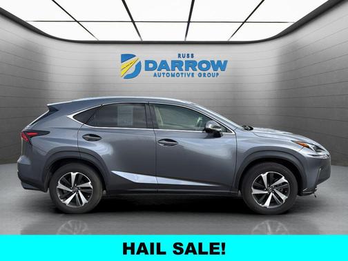 Nebula Gray Pearl 2021 Lexus NX 300 Base