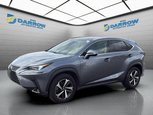 Nebula Gray Pearl 2021 Lexus NX 300 Base