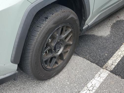 Lunar 2019 Toyota RAV4 XLE