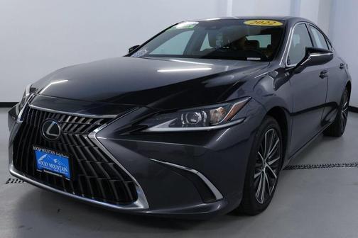 2022 Lexus ES 250 Luxury