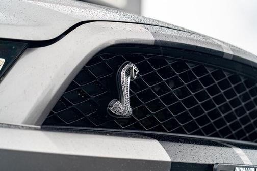 2010 Ford Shelby GT500 Base