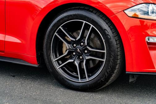 Race Red 2019 Ford Mustang EcoBoost Premium