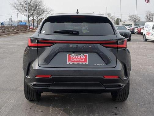 2025 Lexus NX 250 Base