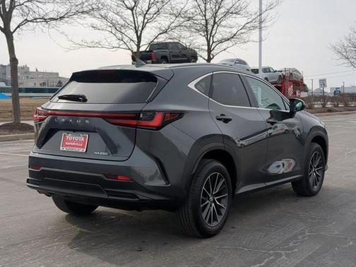2025 Lexus NX 250 Base