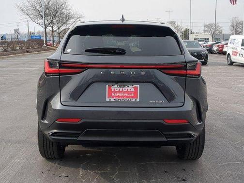 2025 Lexus NX 250 Base