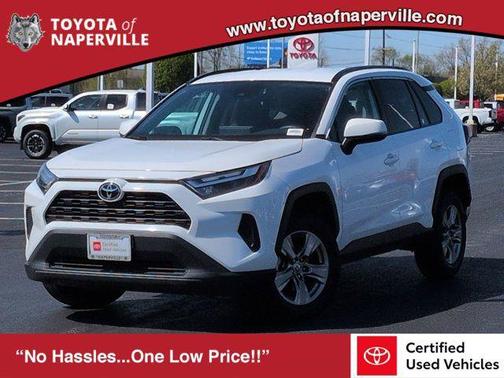 Ice Cap 2023 Toyota RAV4 XLE
