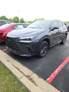2023 Lexus NX 350 Premium