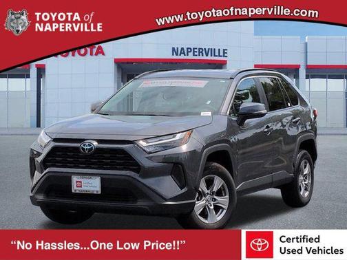 Magnetic Gray Metallic 2025 Toyota RAV4 XLE