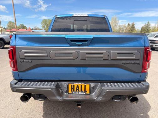 Ford Performance Blue Metallic 2019 Ford F-150 Raptor