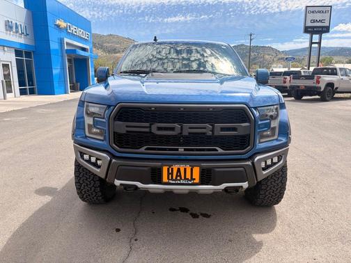 Ford Performance Blue Metallic 2019 Ford F-150 Raptor