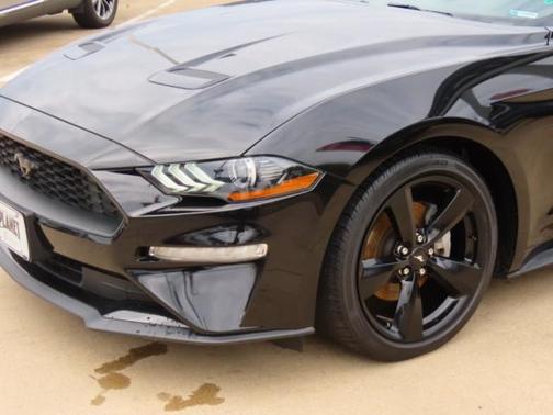 2022 Ford Mustang EcoBoost