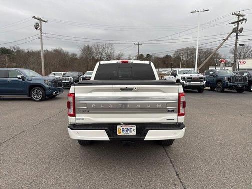 2021 Ford F-150 Platinum