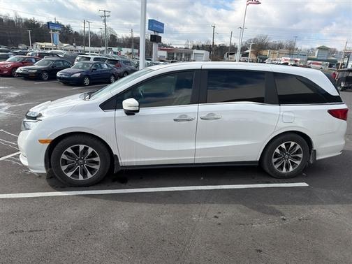 2024 Honda Odyssey 