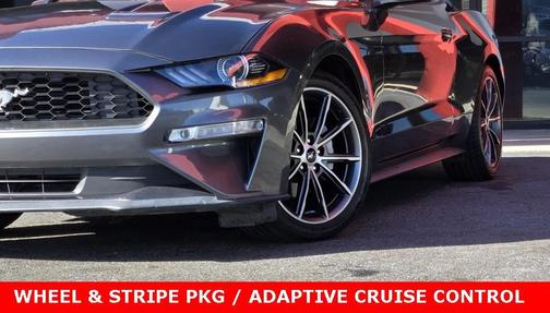 2019 Ford Mustang EcoBoost Premium