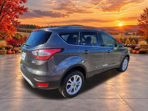 Magnetic 2018 Ford Escape SE