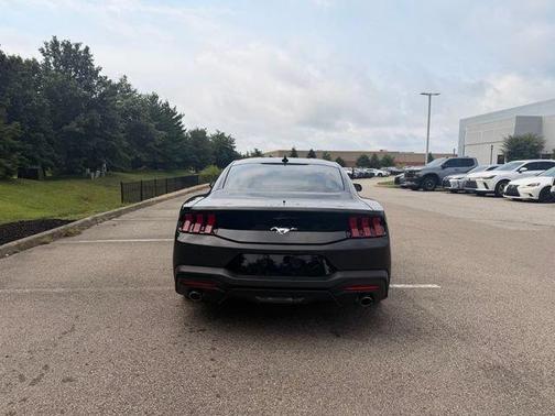 Shadow Black 2024 Ford Mustang EcoBoost