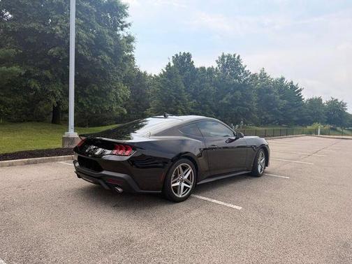 Shadow Black 2024 Ford Mustang EcoBoost