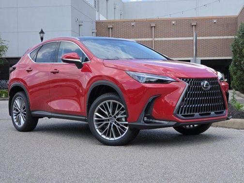 2025 Lexus NX 350h Luxury