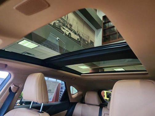2025 Lexus NX 350 Luxury