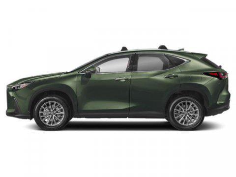 2025 Lexus NX 350 Luxury