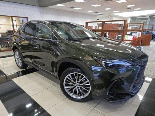 2025 Lexus NX 350 Luxury
