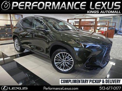 2025 Lexus NX 350 Luxury