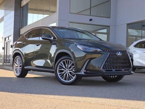 2025 Lexus NX 350 Luxury