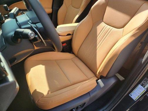 2025 Lexus NX 250 Base