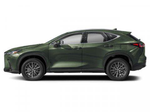 2025 Lexus NX 250 Base