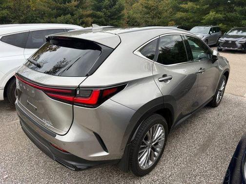 2025 Lexus NX 350h Luxury