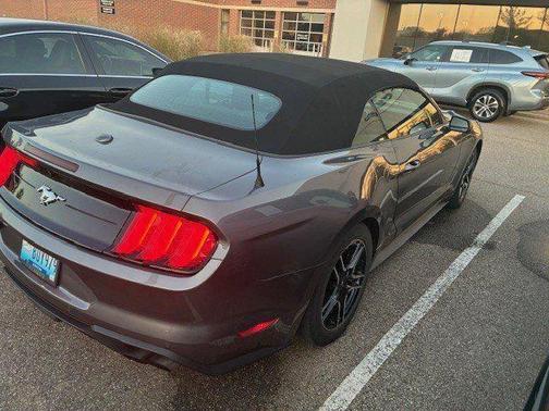 2021 Ford Mustang EcoBoost