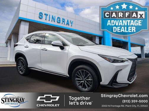 2025 Lexus NX 250 Premium