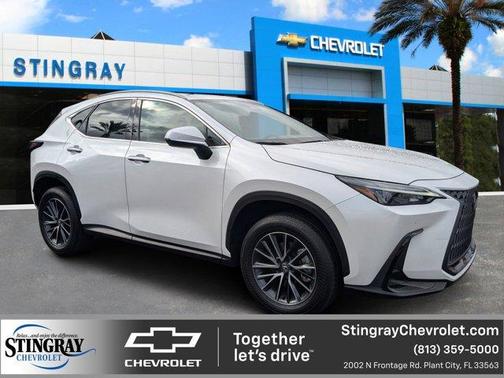 2025 Lexus NX 250 Premium