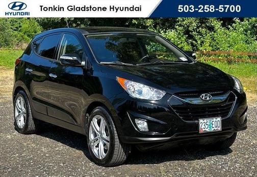 Ash Black 2010 Hyundai TUCSON Limited