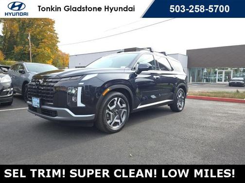 2023 Hyundai PALISADE SEL