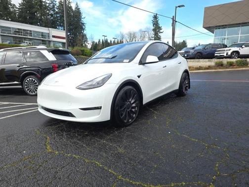 2021 Tesla Model Y Performance Dual Motor All-Wheel Drive