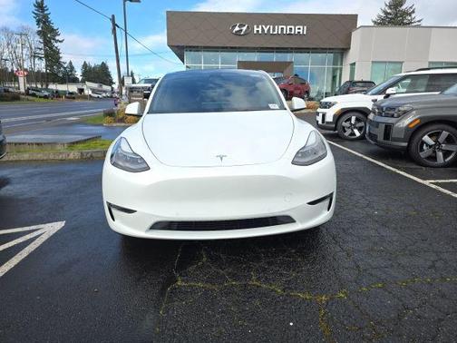 Pearl White Multi-Coat 2021 Tesla Model Y Performance Dual Motor All-Wheel Drive