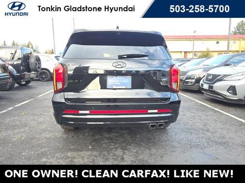 2025 Hyundai PALISADE Calligraphy Night Edition