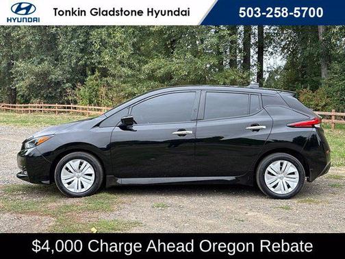 Super Black 2025 Nissan Leaf S