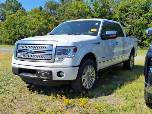2014 Ford F-150 Platinum